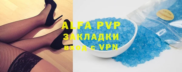 твердый Бородино