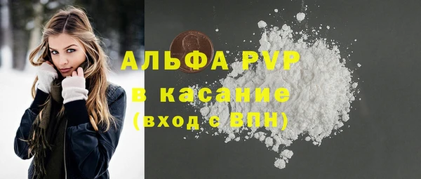 твердый Бородино