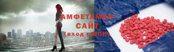 твердый Бородино