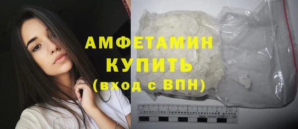 твердый Бородино