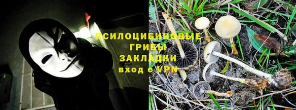 твердый Бородино