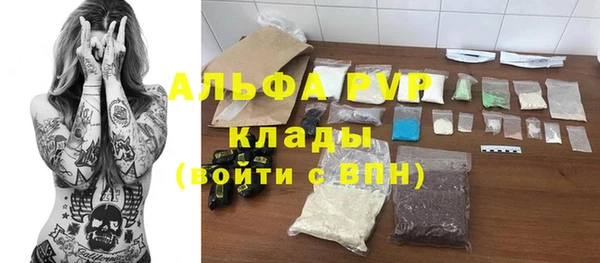 твердый Бородино