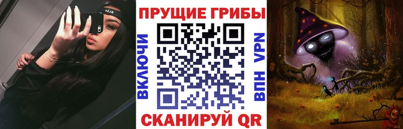 Галлюциногенные грибы Psilocybe  Шатура 