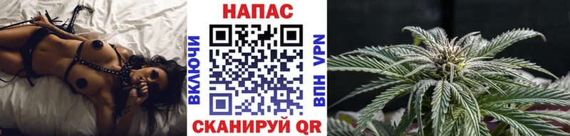 где продают наркотики  Шатура  Бошки Шишки план 